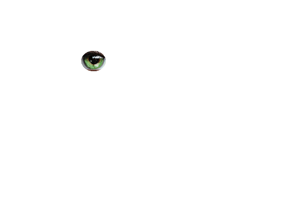 Eye with color lenses